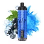 AL FAKHAR 15000 Züge F18S Blackcurrant Ice – 22ml E-Liquid, 5mg/ml Nicotine, Mesh Coil, Schnelllieferung in 5-7 Tagen – Bestseller 2025 Einweg E-Zigarette im Einzelhandel