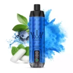 AL FAKHAR 15000 Züge F18S Blaubeere Kaugummi Geschmack, 22ml E-Liquid, 5mg Nikotin – Bestseller 2025, Lieferung in 5-7 Tagen, Günstig im Einzelhandel (2)