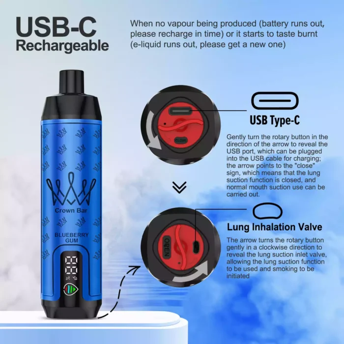 AL FAKHAR 15000 Züge F18S Blaubeere Kaugummi Geschmack, 22ml E-Liquid, 5mg Nikotin – Bestseller 2025, Lieferung in 5-7 Tagen, Günstig im Einzelhandel (5)
