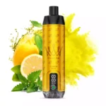 AL FAKHAR 15000 Züge F18S Zitrone Minze Geschmack, 22ml E-Liquid, 5mg Nikotin, 0.6 Mesh Coil – Bestseller 2025, Günstig im Einzelhandel, Lieferung in 5-7 Tagen