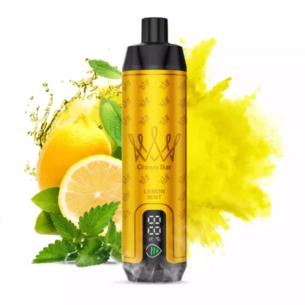 AL FAKHAR 15000 Züge F18S Zitrone Minze Geschmack, 22ml E-Liquid, 5mg Nikotin, 0.6 Mesh Coil – Bestseller 2025, Günstig im Einzelhandel, Lieferung in 5-7 Tagen