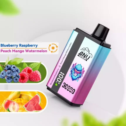 ANU 30000 Züge Einweg E-Zigarette – Bestseller 2025 mit Blaubeere Himbeere & Pfirsich Mango Wassermelone, Lieferung in 5 bis 7 Tagen (2)