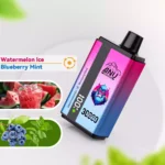 ANU 30000 Züge Einweg E-Zigarette – Wassermelone Eis & Blaubeere Minze, Bestseller 2025, direkt ab Werk, der günstigste Preis in Europa (2)