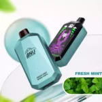 ANU Star 30000 Züge Einweg E-Zigarette – Frische Minze, Top-Produkt 2025, Schnelle Lieferung, Direktverkauf ab Werk (2)