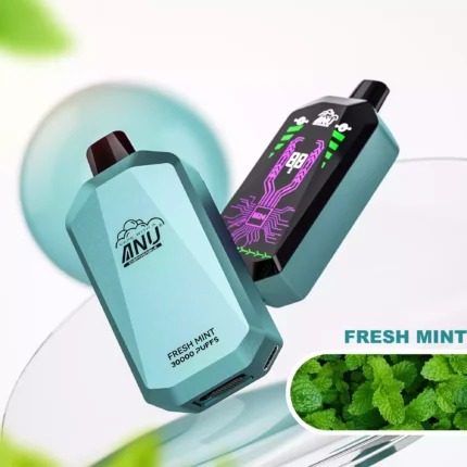 ANU Star 30000 Züge Einweg E-Zigarette – Frische Minze, Top-Produkt 2025, Schnelle Lieferung, Direktverkauf ab Werk (2)