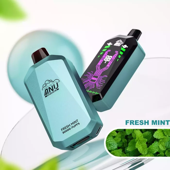 ANU Star 30000 Züge Einweg E-Zigarette – Frische Minze, Top-Produkt 2025, Schnelle Lieferung, Direktverkauf ab Werk (2)