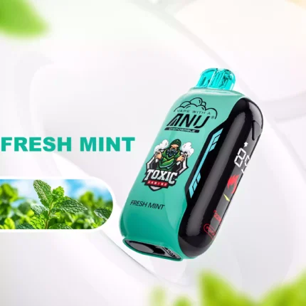 ANU Vista 30000 Züge Fresh Mint Elektronische Einwegzigarette - Bestseller 2025, bester Preis, 5-7 Tage Lieferung innerhalb Europas (1)