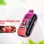 ANU Vista 30000 Züge Wassermelone Eis – Der günstigste Einzelverkauf 2025, europaweite Lieferung in 5-7 Tagen (1)