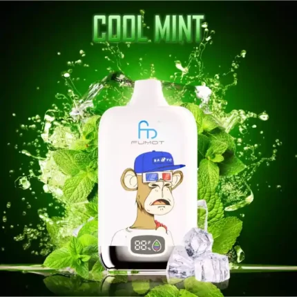 Randm Digital Box 12000 Züge Eis Einweg E-Zigarette - Cool Mint, Bestseller 2025, niedrigster Verkaufspreis, 5-7 Tage Lieferung in Europa (1)