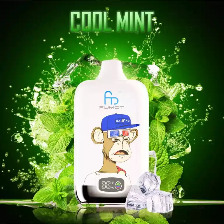 Startseite 50 Randm Digital Box 12000 Züge Eis Einweg E-Zigarette - Cool Mint, Bestseller 2025, niedrigster Verkaufspreis, 5-7 Tage Lieferung in Europa (1)