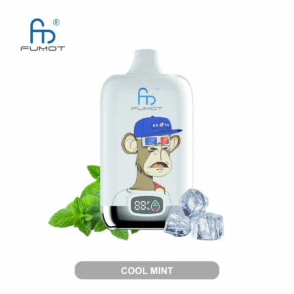 Randm Digital Box 12000 Züge Eis Einweg E-Zigarette - Cool Mint, Bestseller 2025, niedrigster Verkaufspreis, 5-7 Tage Lieferung in Europa (2)