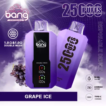 Bang 25000 25K Puffs